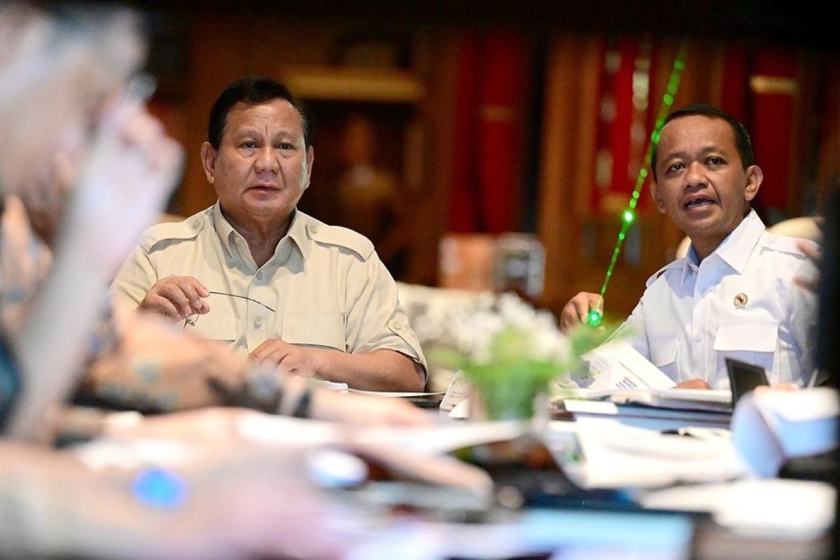 IMG-20250317-WA0005-1200x800